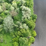 W Krakowie rośnie prawdziwa dżungla. Wyjątkowe miejsce w Polsce