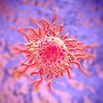 W królestwie rakowych komórek macierzystych