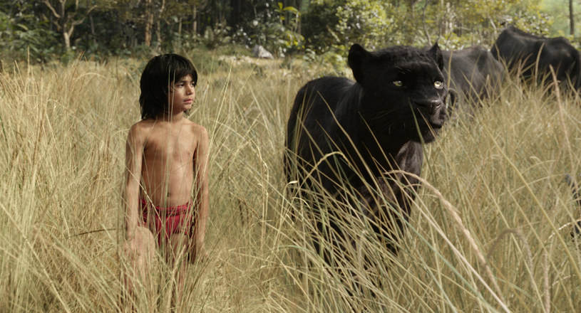 W "Księdze dżungli" Jona Favreau w Mowgliego wcielił się Neel Sethi /materiały prasowe