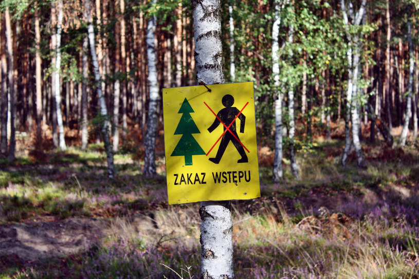 W lasach często pojawiają się ostrzeżenia. Nie lekceważ ich /123RF/PICSEL