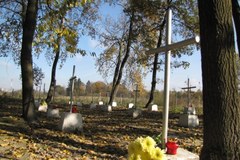 W lasach k. Bielin na Wołyniu pochowanych jest kilka tysięcy żołnierzy