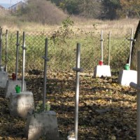 W lasach k. Bielin pochowanych jest kilka tysięcy żołnierzy