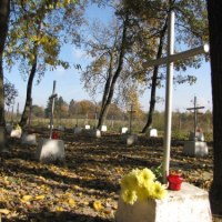 W lasach k. Bielin pochowanych jest kilka tysięcy żołnierzy