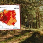 W lasach robi się groźnie. Zachowaj szczególną ostrożność