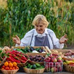 W lecie nawoże warzywnik tym. Mam więcej plonów, niż sąsiedzi