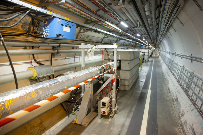 W LHC wreszcie wykryto tetrakwarki? /123RF/PICSEL