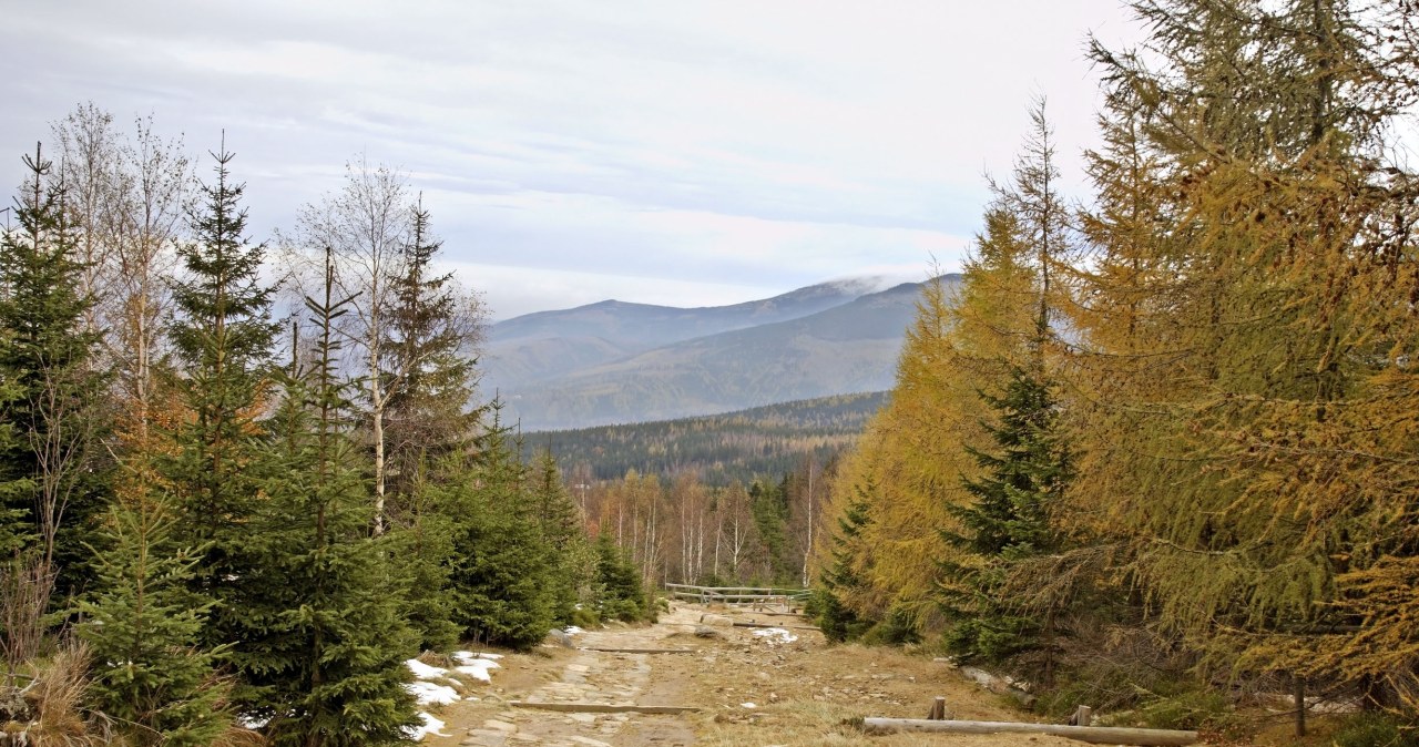 W listopadzie Tatry bywają już skute lodem i pokryte śniegiem. Karkonosze, choć również potrafią zaskoczyć zimową aurą, są pod tym względem bardziej łaskawe. /123RF/PICSEL