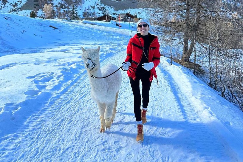 W Livigno można spotkać również alpaki /archiwum prywatne