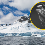 W lodzie Antarktydy znaleziono coś dziwnego. To dzieło odległego wulkanu