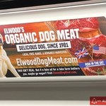 W Londynie pojawiły się reklamy mięsa z psa