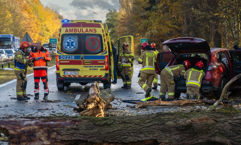 W Lubinie samochód wjechał w przewrócone drzewo /KP PSP Lubin /
