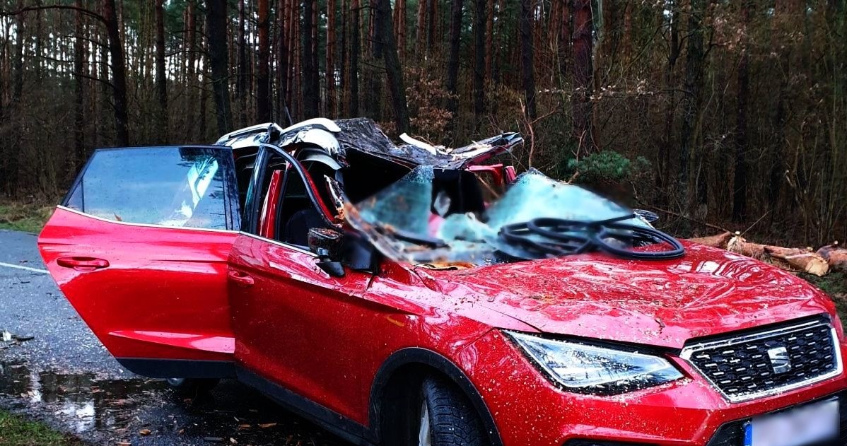 W Lubuskiem wichura przewróciła drzewo na osobowego Seata. Niestety, życia 64-letniego kierowcy nie udało się uratować /Policja /Informacja prasowa