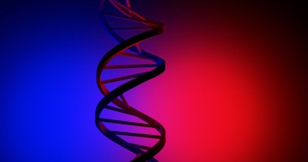 W ludzkim DNA jest drugi, nieznany do tej pory, kod? /123RF/PICSEL