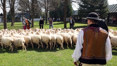 W Ludźmierzu na Podhalu uroczyście zainaugurowano sezon pasterski