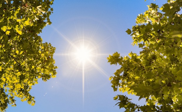 W majówkę wysokie temperatury i brak opadów. Sprawdź prognozę na długi weekend