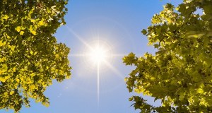 W majówkę wysokie temperatury i brak opadów. Sprawdź prognozę na długi weekend