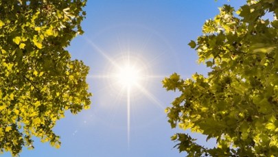 W majówkę wysokie temperatury i brak opadów. Sprawdź prognozę na długi weekend
