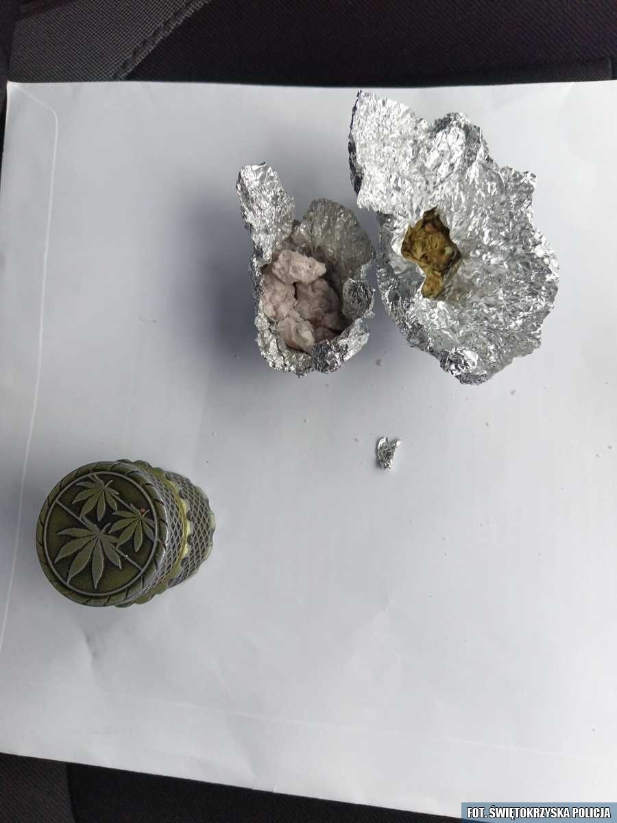 W marcu zatrzymano 19 osób /Policja Świętokrzyska /Policja