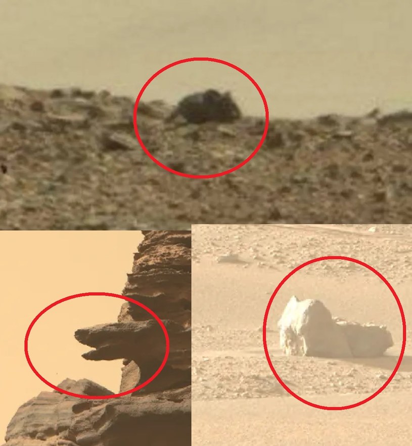 W marsjańskich skałach pasjonaci oglądający uważnie zdjęcia wykonane przez łaziki dopatrzyli się kształtów popularnych zwierząt. /NASA