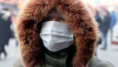 W Mediolanie zakazano ruchu aut. Wszystko przez smog 