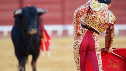 W Meksyku znów odbyła się korrida. Protest aktywistów 