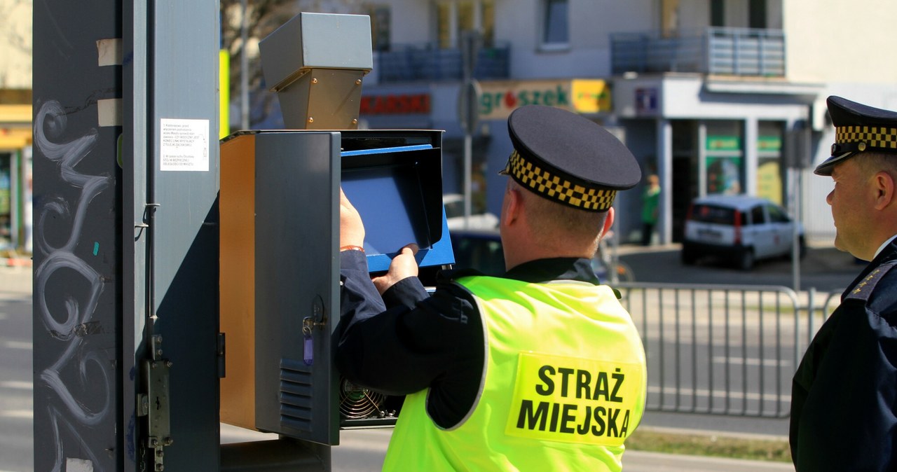 W miejscach, gdzie strażnicy miejscy najczęściej instalowali fotoradary, prędkość przekraczało 73 proc. kierowców / Fot. Witek Sroga/East News /East News