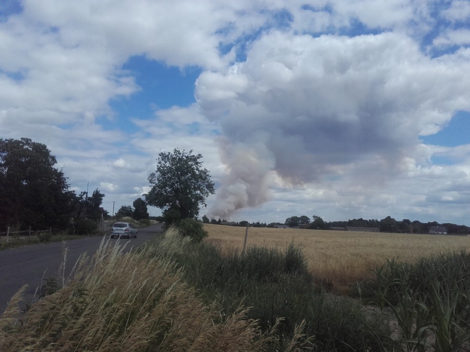 W miejscowości Mnichy doszło do ogromnego pożaru /Gorąca Linia RMF FM