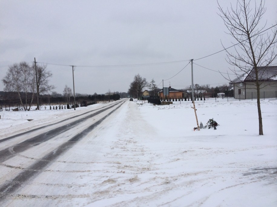 W miejscu, w którym zginął 13-letni Patryk, ustawiono drewniany krzyż /Grzegorz Kwolek /RMF FM