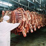 W mięsie z ubojni z okolic Białej Rawskiej były antybiotyki