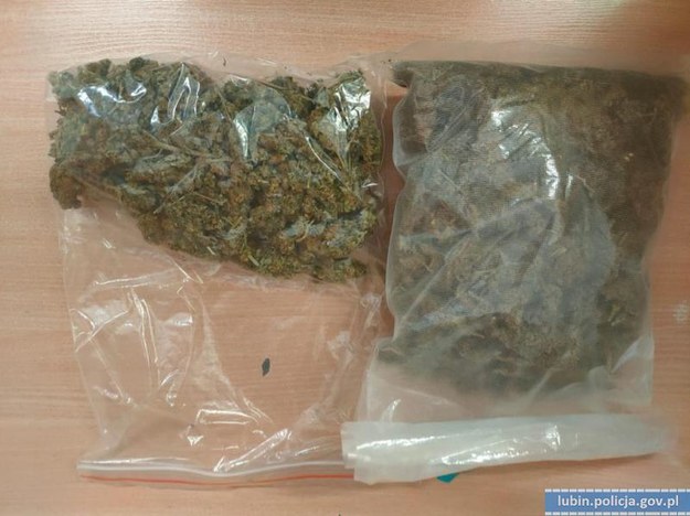 W mieszkaniu 17-latka znaleziono blisko 3 tys. porcje marihuany /Policja