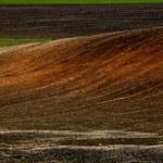 W Mołdawii trwa największa od 25 lat susza. Zagrożone są uprawy zbóż