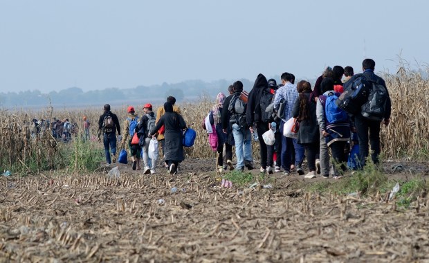 W Monachium o migracji. UE zaczyna mówić głosem Polski?
