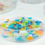 W mózgach zmarłych wykryto nanoplastik. Zalega nie tylko tam!