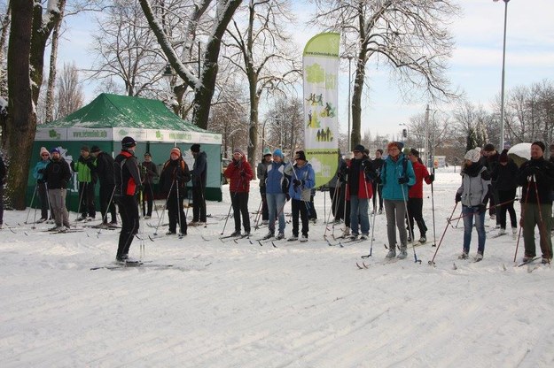 W najbliższy czwartek i sobotę też będą bezpłatne zajęcia narciarskie Zielonej Łodzi w Parku na Zdrowiu /Zielona Łódź /Materiały prasowe