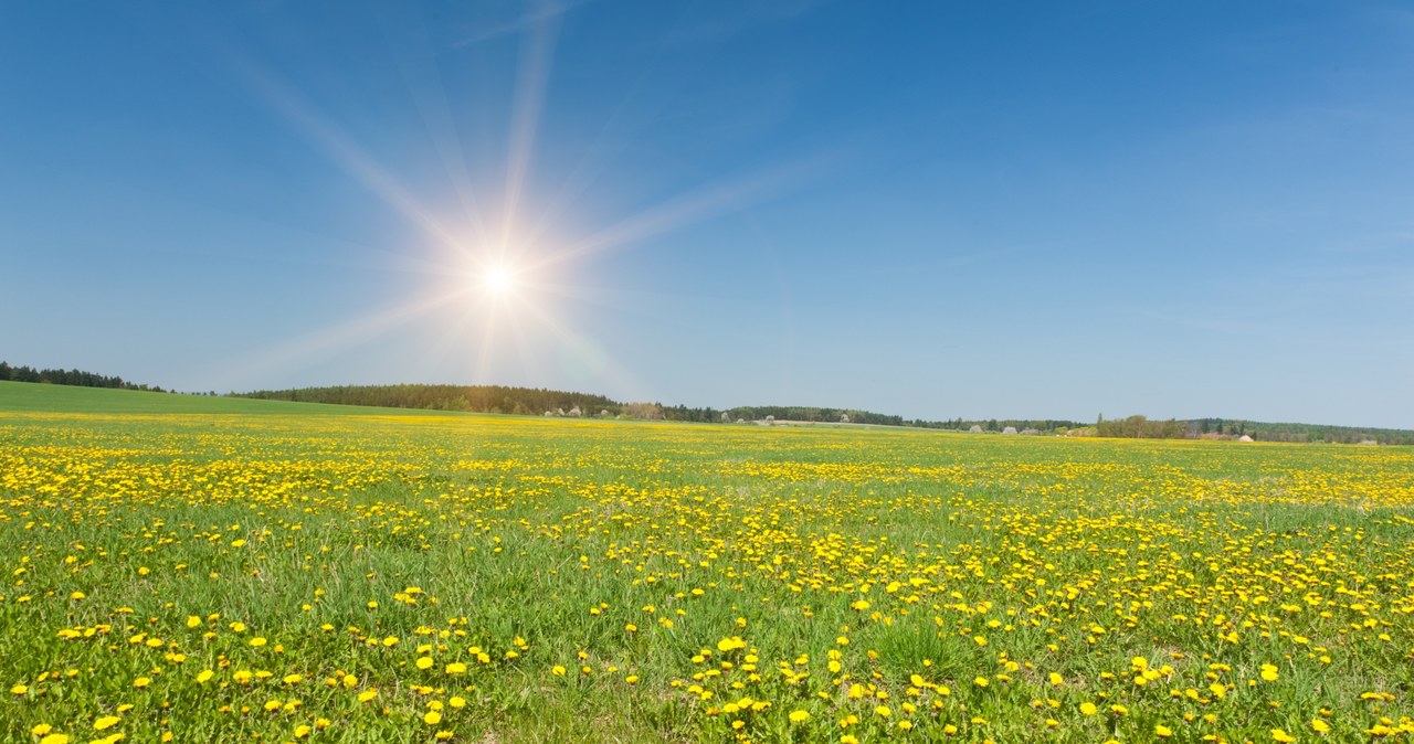 W najbliższych dniach w Polsce termometry pokażą ponad 10 stopni Celsjusza /123RF/PICSEL