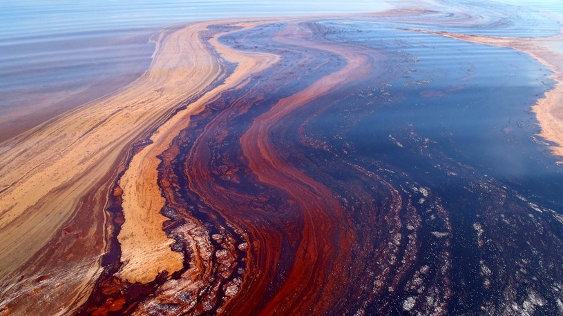 W najgłębszym rowie oceanicznym na Ziemi odkryto bakterie żywiące się ropą /Geekweek