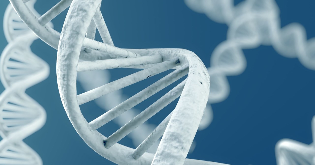 W naszym DNA istnieje druga warstwa informacji /123RF/PICSEL