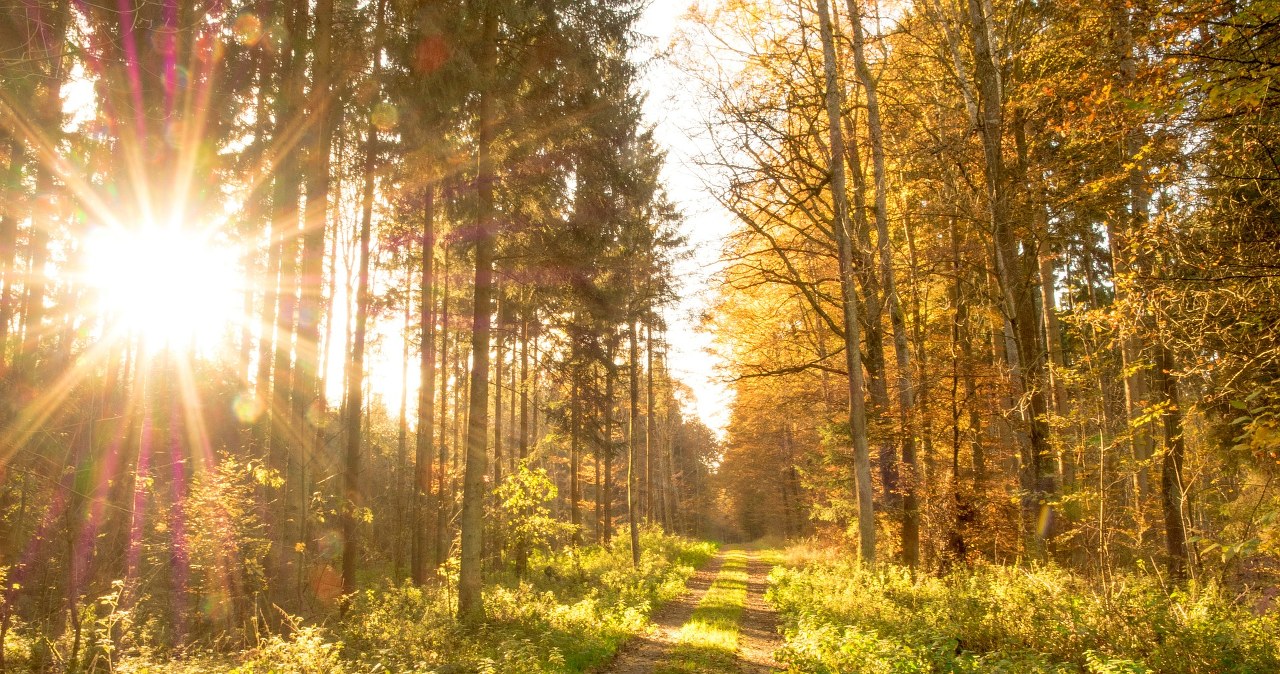 W niedzielę na przeważającym obszarze kraju będzie słoneczna pogoda /Pixabay.com