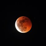 Zajmujący się astronomią