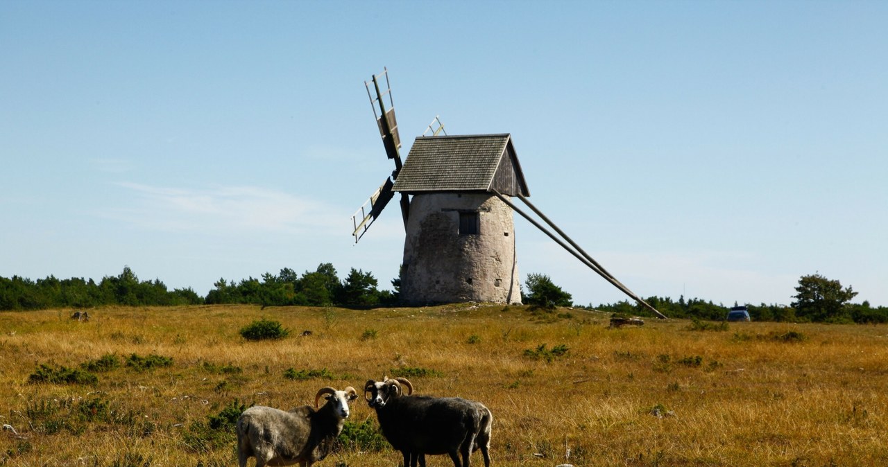 W niektórych magicznych miejscach Gotlandii można się przenieść w czasie... /Krystian Trela/REPORTER  /East News