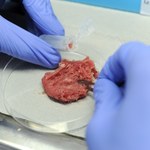 W nielegalnym mięsie z ubojni w Rosławowicach były antybiotyki