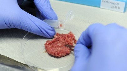 W nielegalnym mięsie z ubojni w Rosławowicach były antybiotyki