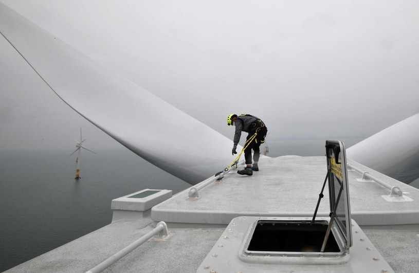 W Niemczech coraz więcej energii wytwarzają farmy wiatrowe. Zdj. ilustracyjne /AFP