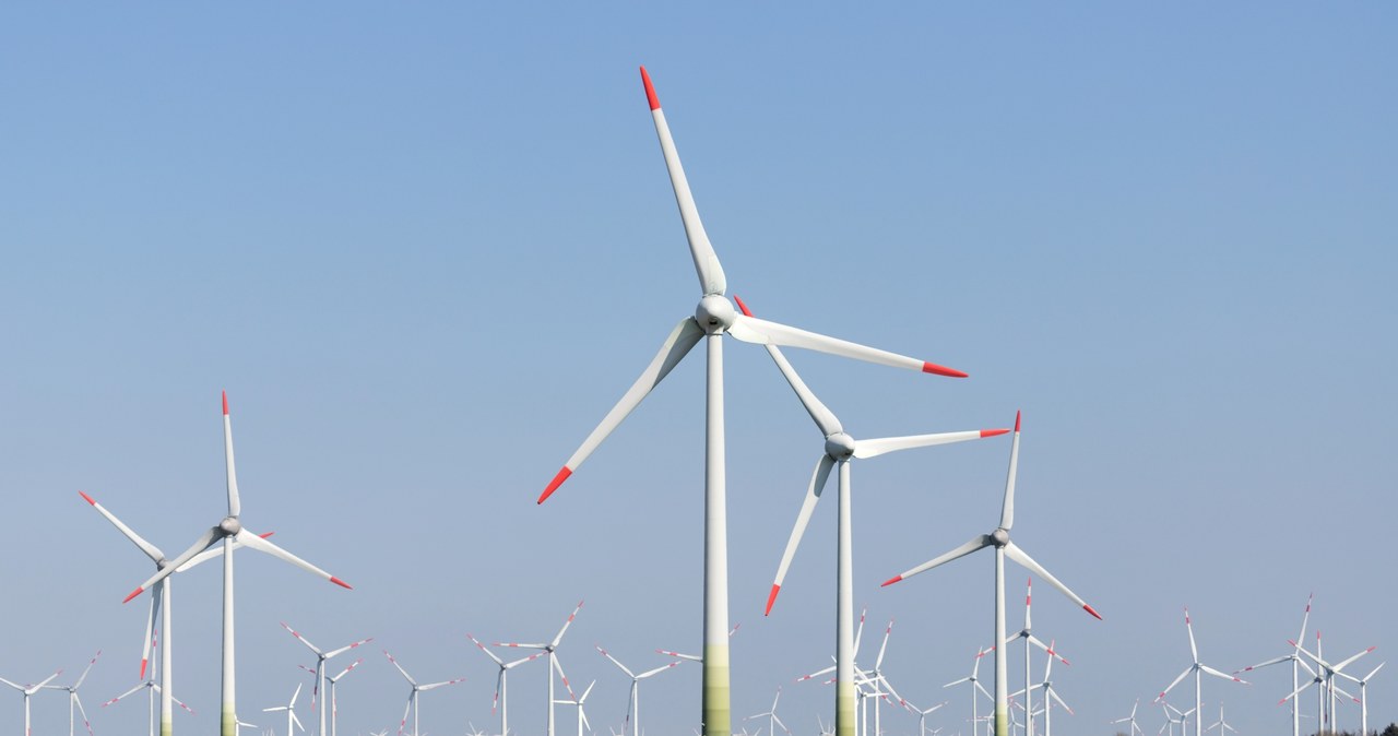 W nowelizacji ustawy wiatrakowej znalazła się poprawka dotycząca mrożenie cen energii /123RF/PICSEL