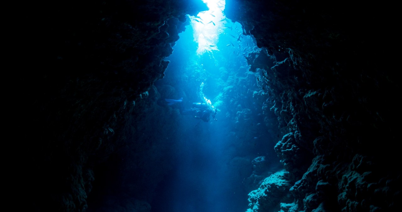 W oceanicznych głębinach kryją się bakterie, które mogą być "niewidzialne" dla układu odpornościowego człowieka /123RF/PICSEL