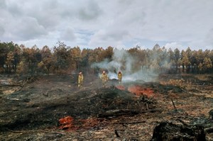 "W oczach łzy wzruszenia i dumy". Polscy strażacy ratują Francję