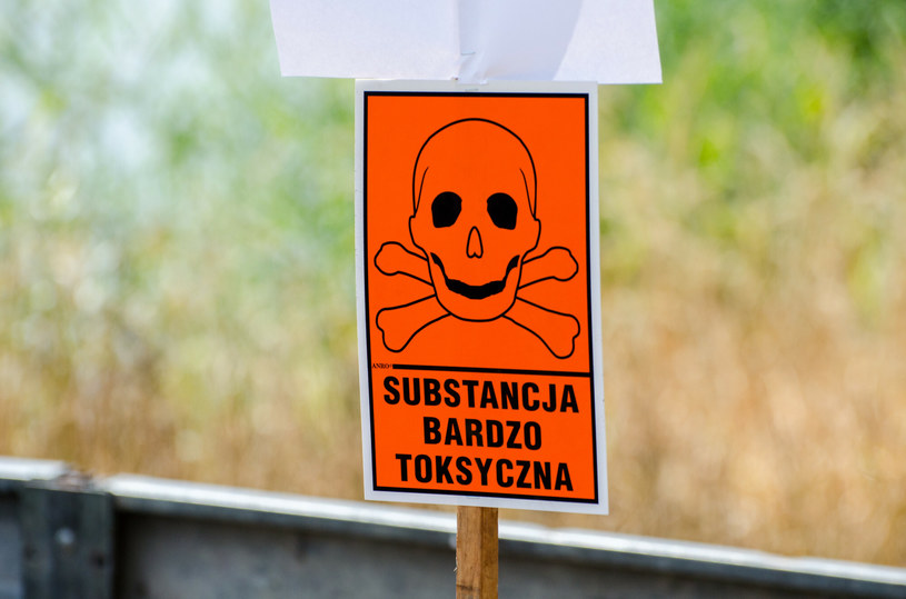 W Odrze zidentyfikowano m.in. silnie toksyczny rozpuszczalnik, który trafił do rzeki w dużych ilościach. Sprawę bada prokuratura we Wrocławiu. /NewsLubuski /East News