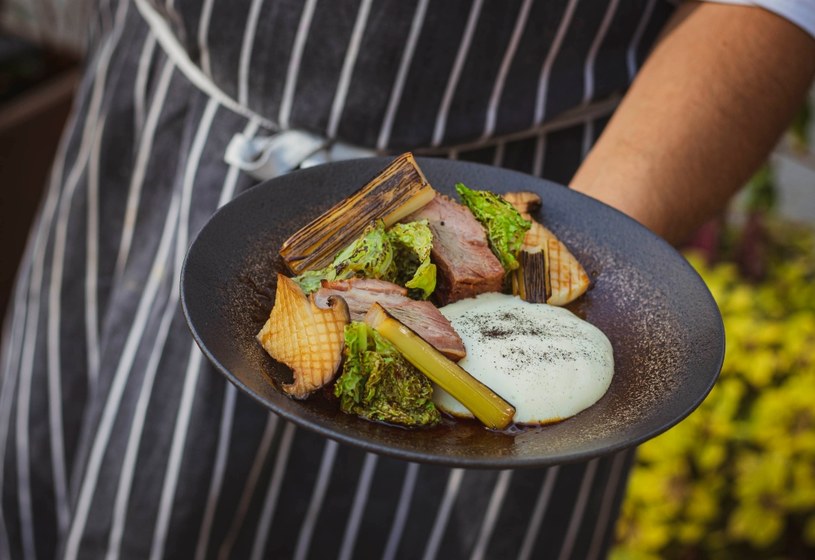 W ofercie Restaurant Week dostępne będą dania wegetariańskie, wegańskie i rybne – proponowane jako menu pierwszego wyboru, a także menu mięsne /materiały prasowe
