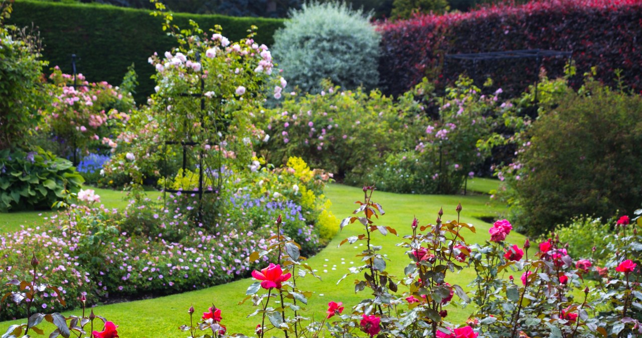 W ogrodzie angielskim nie brakuje barwnych kwiatów /Pixel