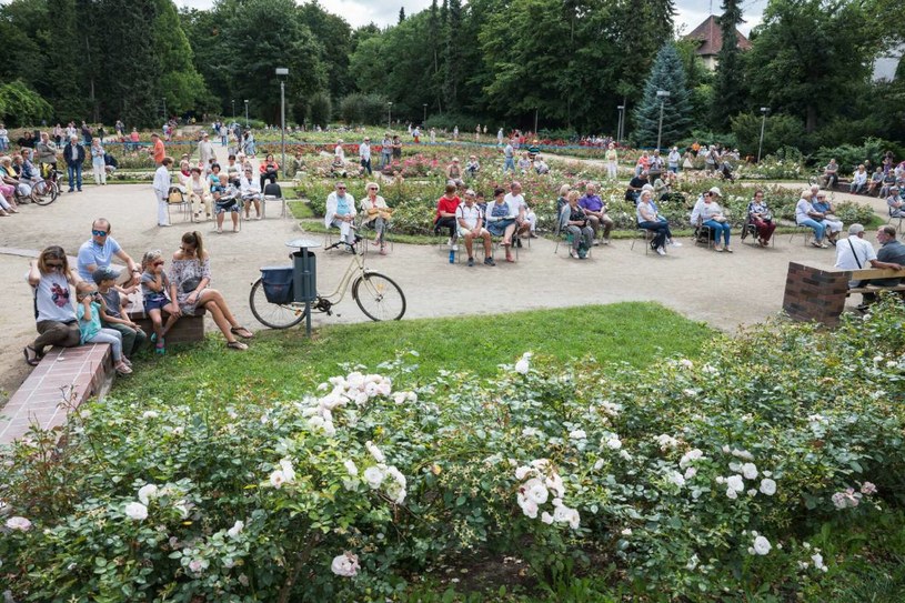 W ogrodzie różanym na spacerowiczów czekają alejki, ławki oraz place zabaw /Piotr Dziurman